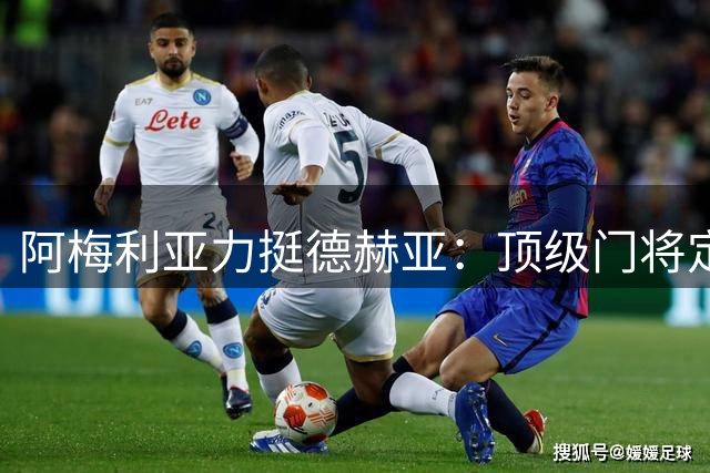 阿梅利亚力挺德赫亚：顶级门将定能助力紫百合